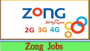 Zong Jobs 2022