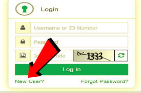 Online checking MOI Qatar ID Validity
