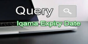 Query Iqama expiry service Check 2022