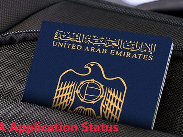 When did Emirates ID start in UAE?
