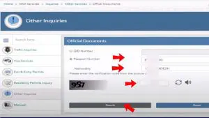 How To Check MOI Qatar ID Online With Pictures