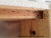 How Can We Prevent Furniture From Bed Bugs?