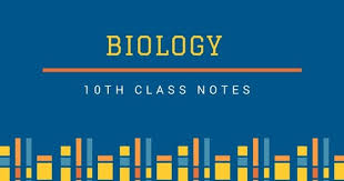 Important Questions of Biology Class 10 Punjab Boards 2022
